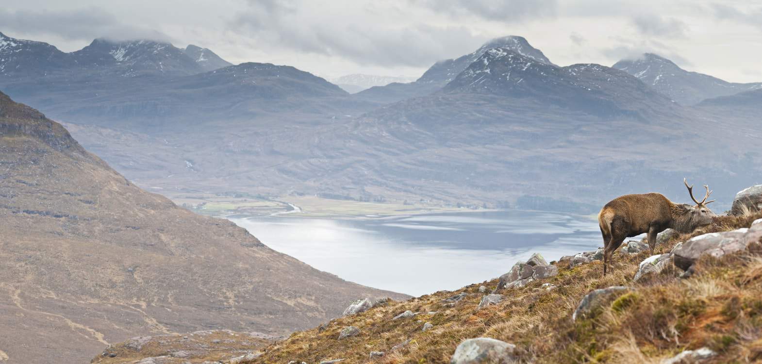 Cairngorm National Park