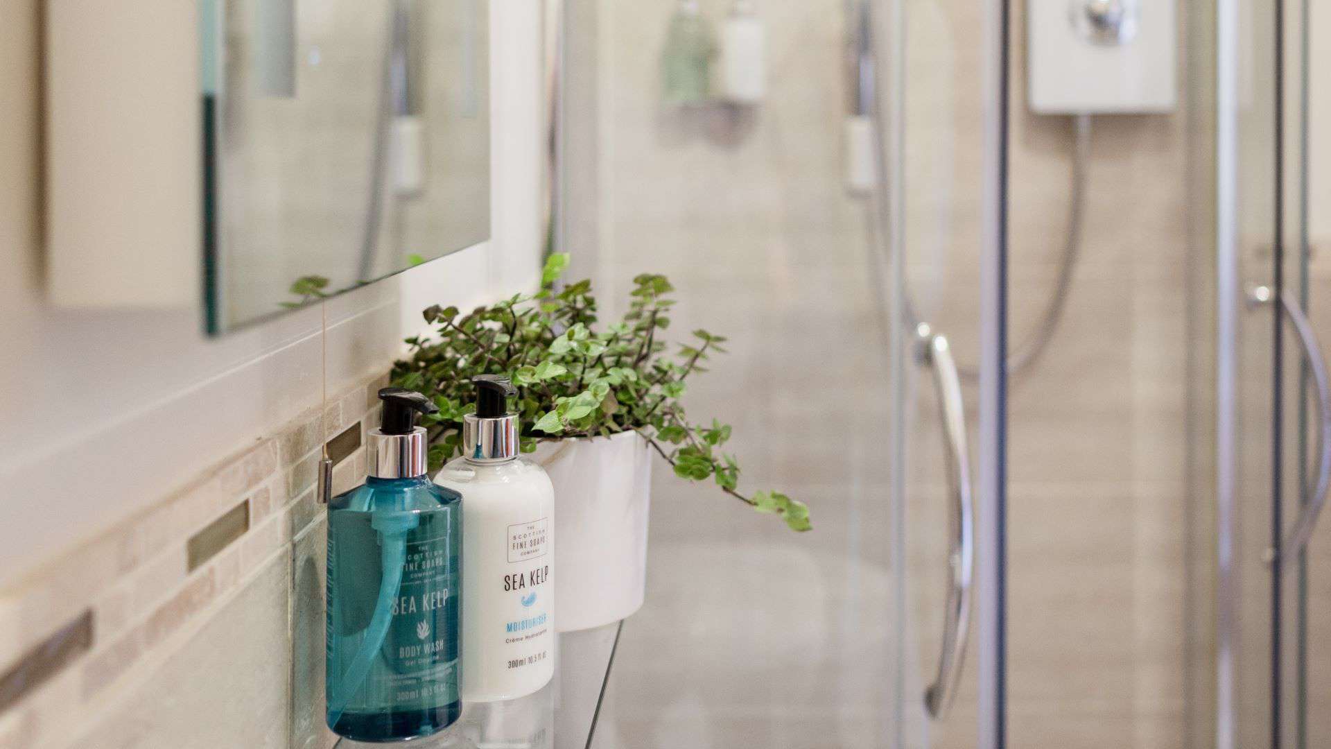 Strathallan thistle bathroom